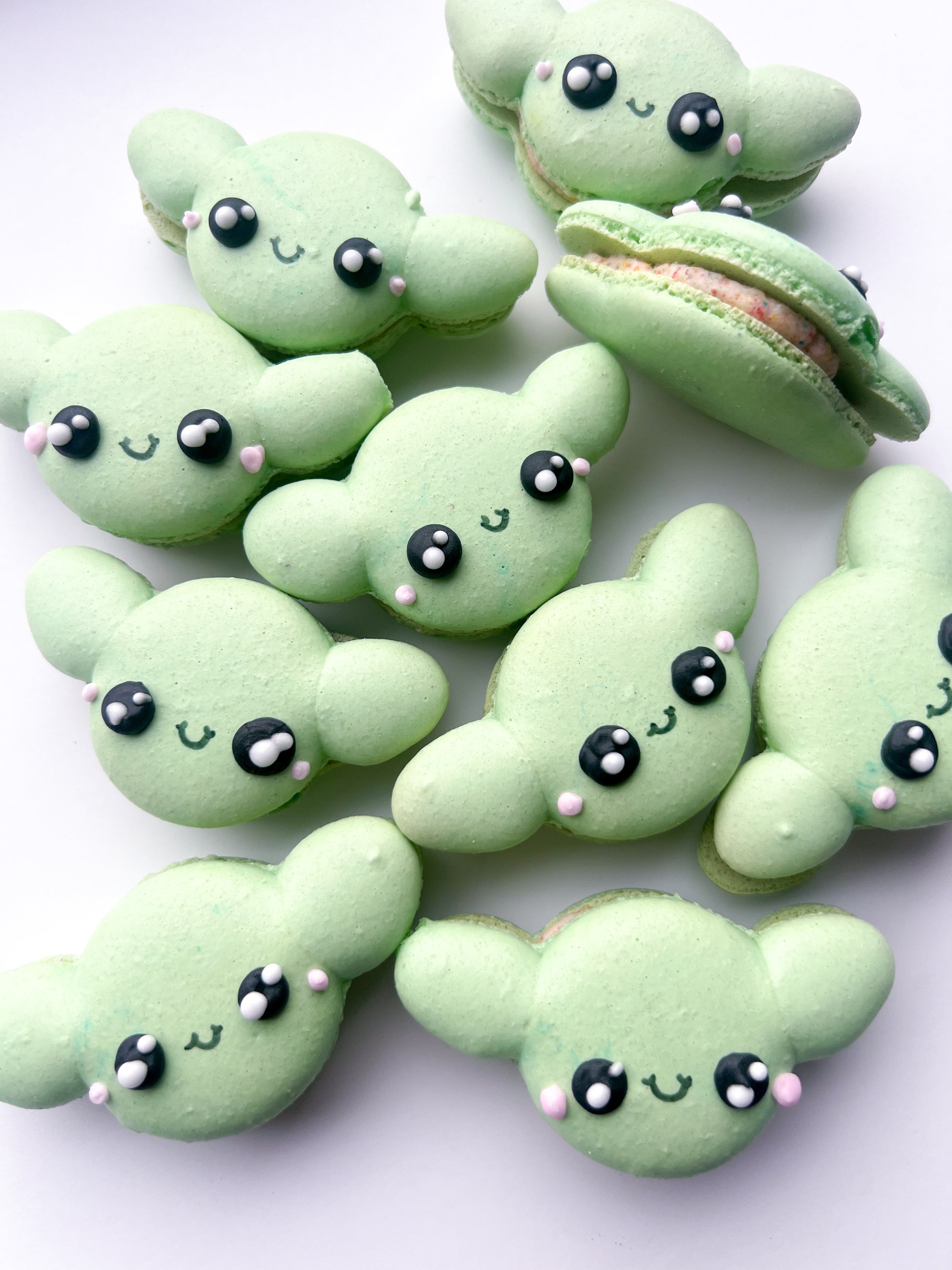 Character Macarons (a la carte) | Steph's Macarons