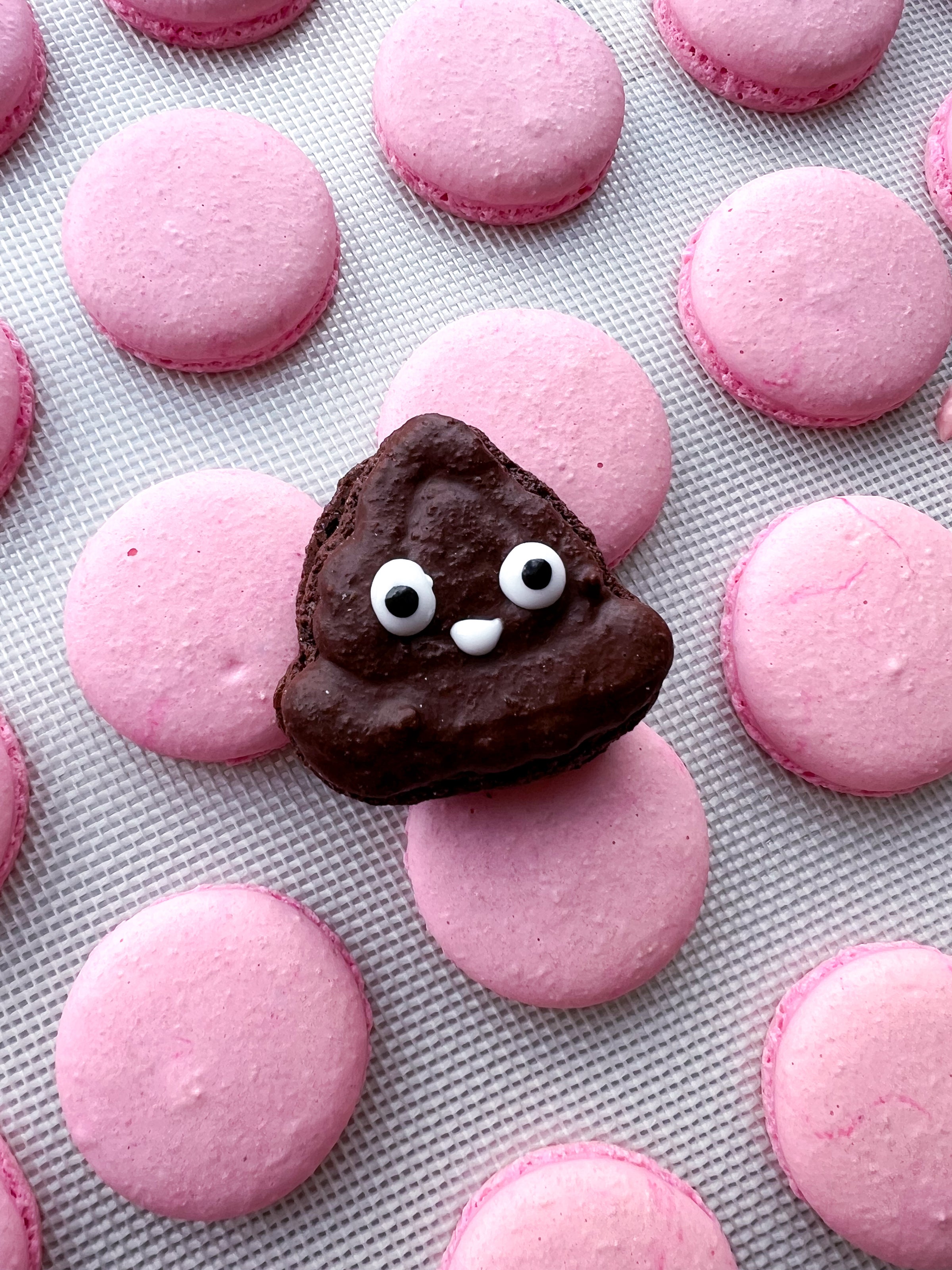 Character Macarons (a la carte) | Steph's Macarons
