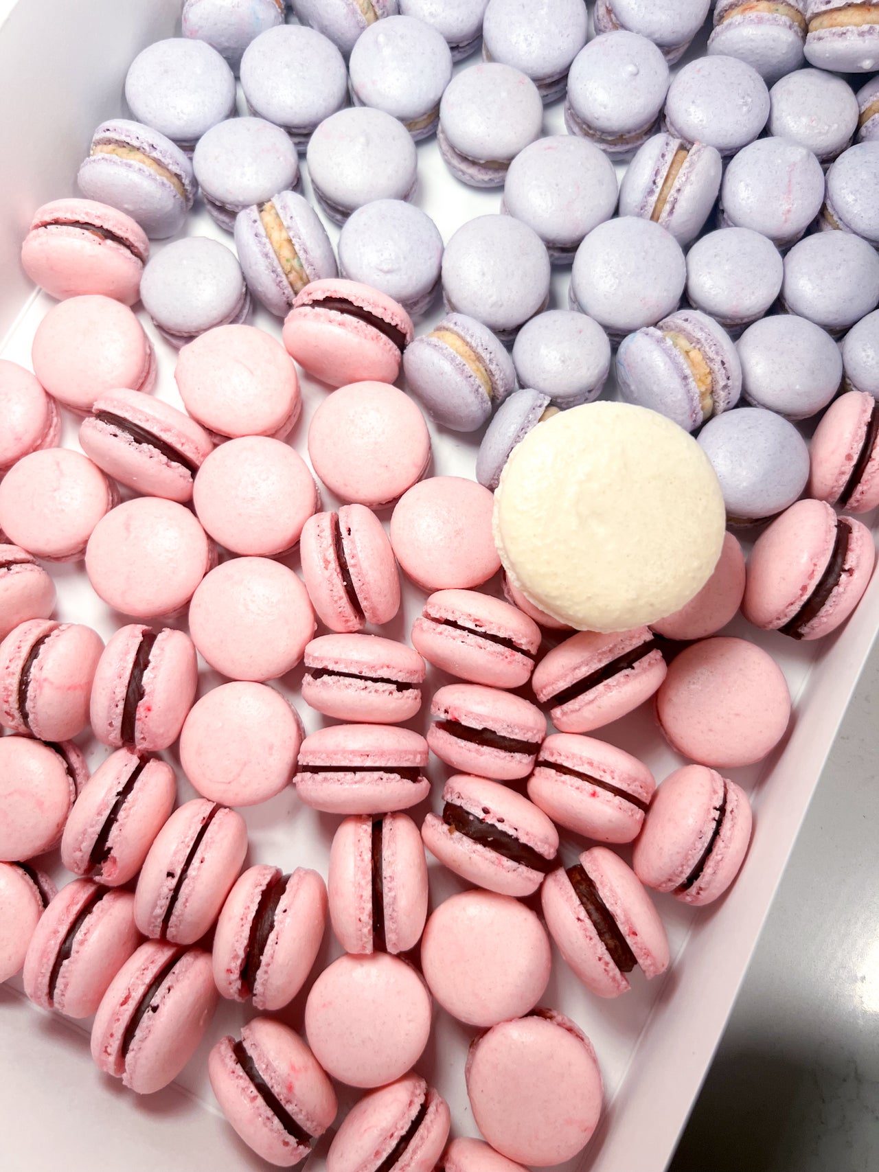 Order Ahead | Steph's Macarons
